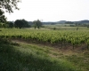 Dpt hérault (34), à vendre capestang terrain viticole de 14260 m² -   
